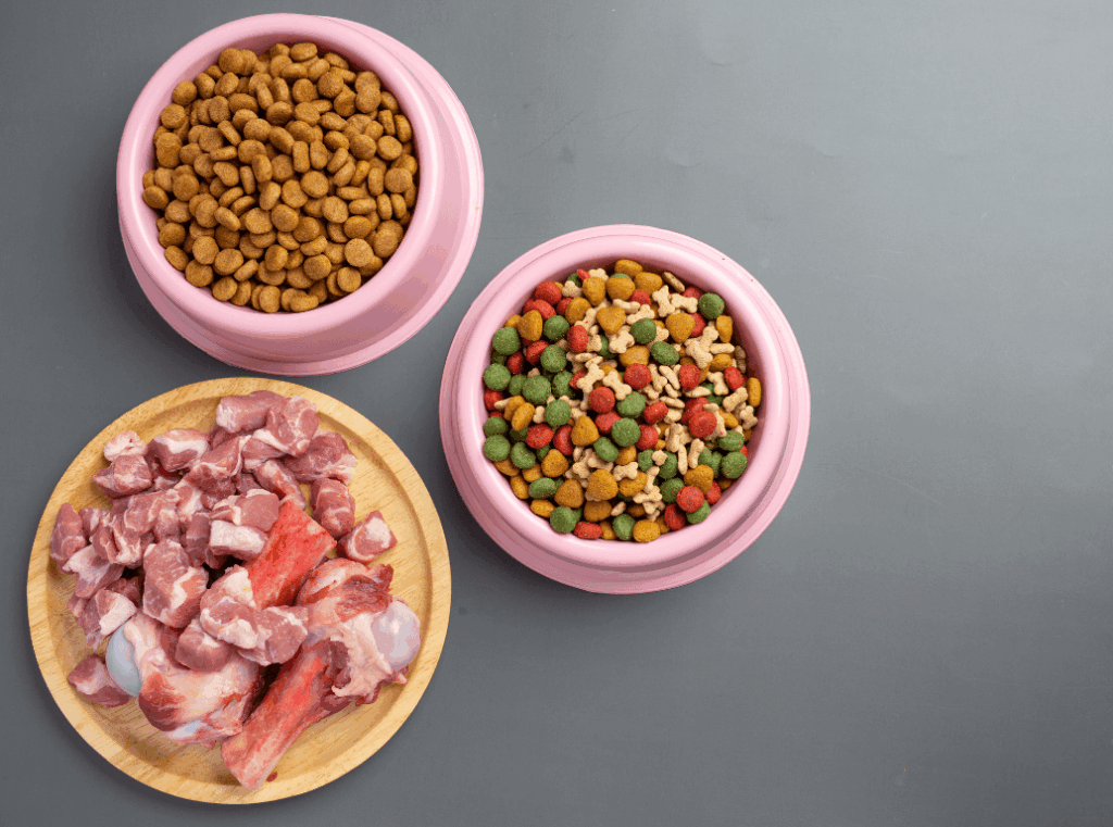 how to choose the right food for your dog