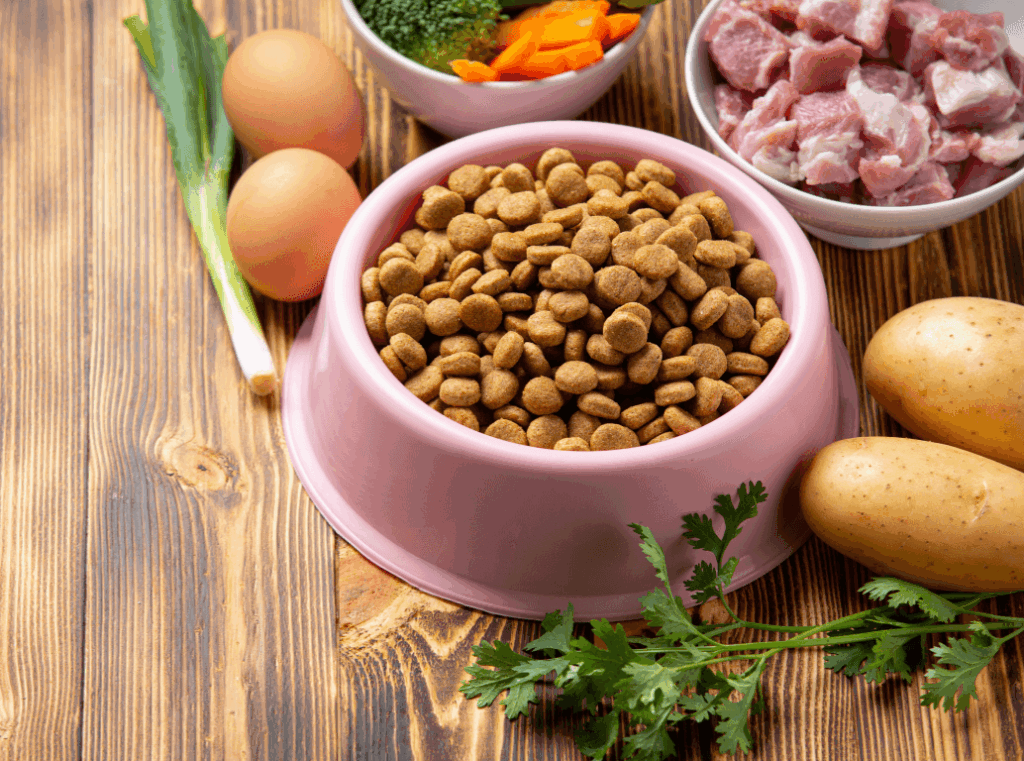 Bowl of dry dog food surrounded by fresh ingredients including eggs, potatoes, carrots, and raw meat.