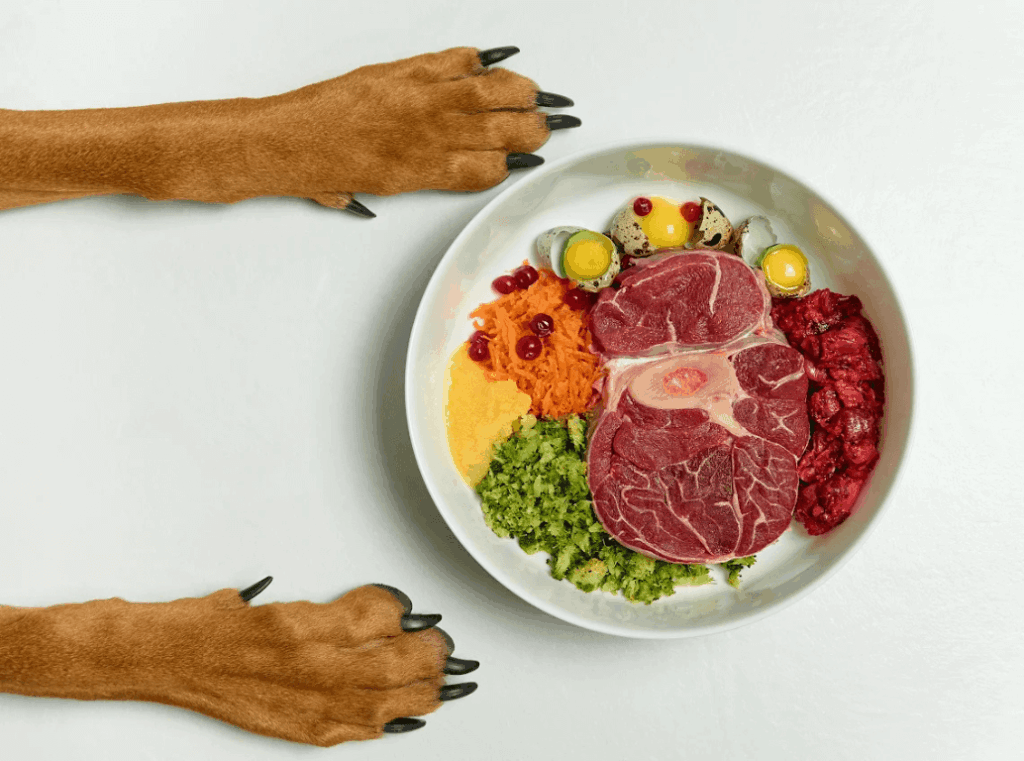 Top view of a dog’s paws next to a high-protein bowl of raw pet food with meat, chopped vegetables, and eggs.