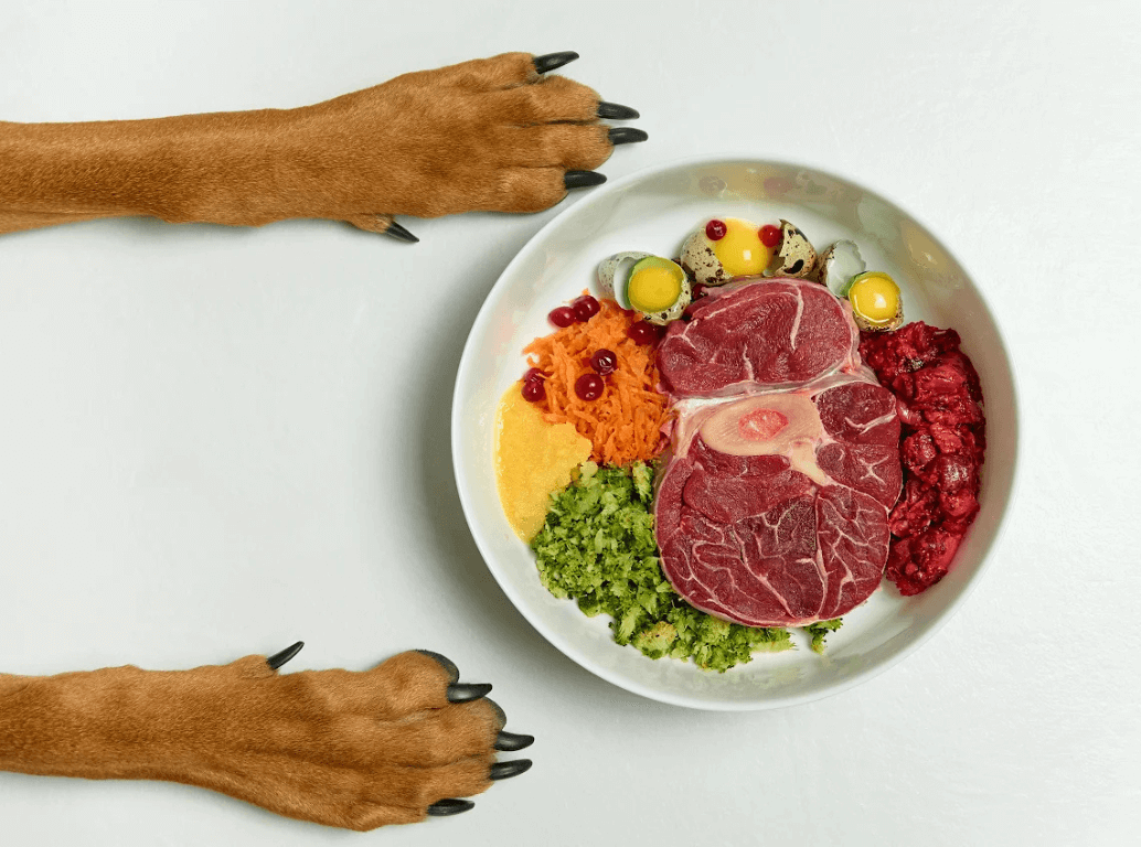 Top view of a dog’s paws next to a high-protein bowl of raw pet food with meat, chopped vegetables, and eggs.