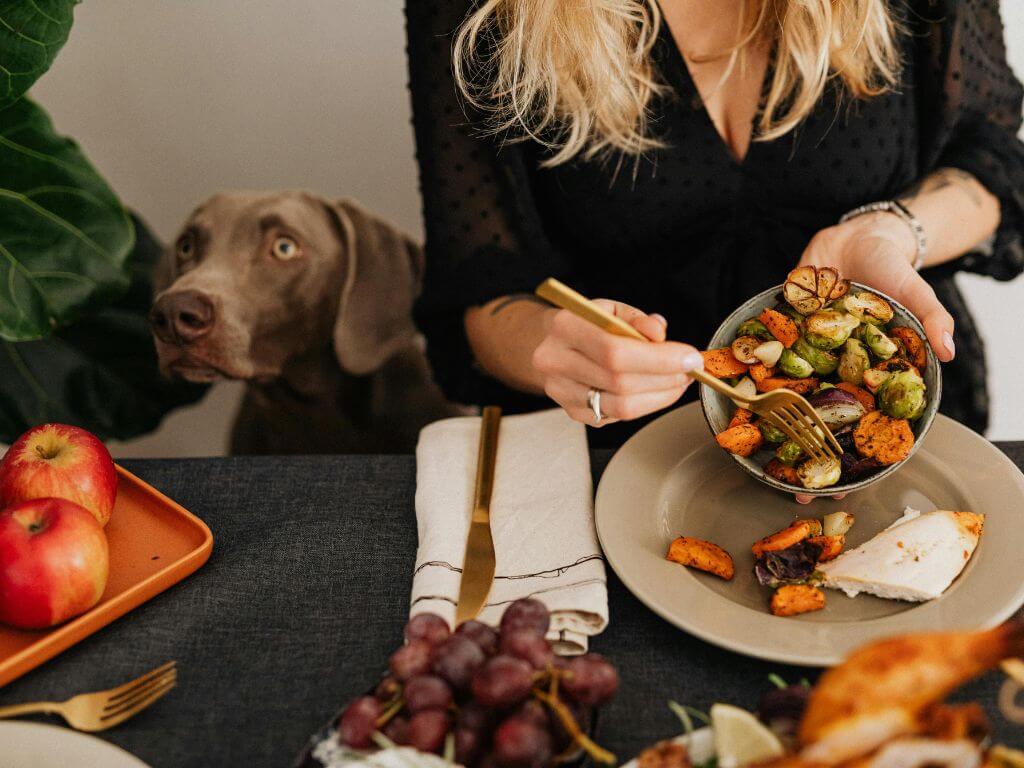 A grey dog looking at a plate of roasted vegetables and grapes on a holiday table.