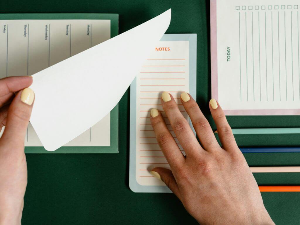 A person uses a weekly planner to organise a consistent feeding routine and track pet nutrition tips for the new year.