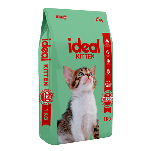 Ideal kitten food
