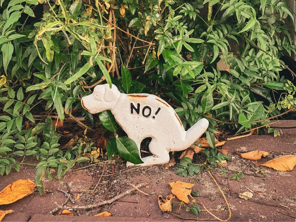 Humorous garden sign shaped like a dog with the word “No!” near a garden bed.