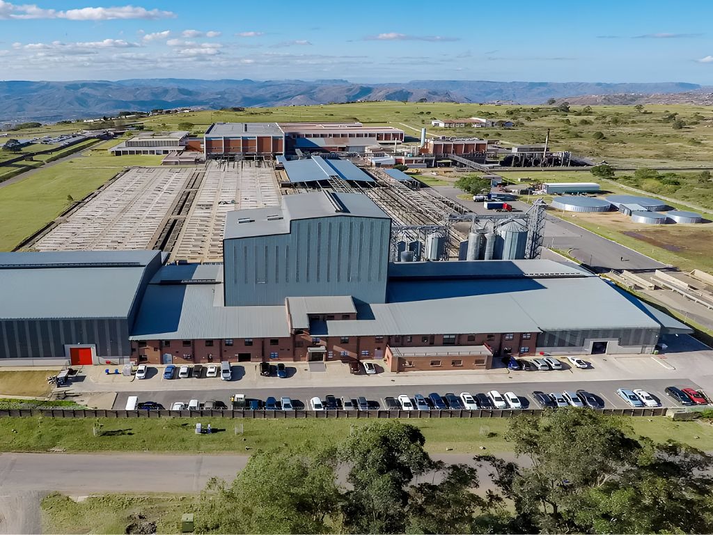 High-angle aerial view of the AVI Products modern pet food processing facility in Cato Ridge, where they make cat food with high quality protein.